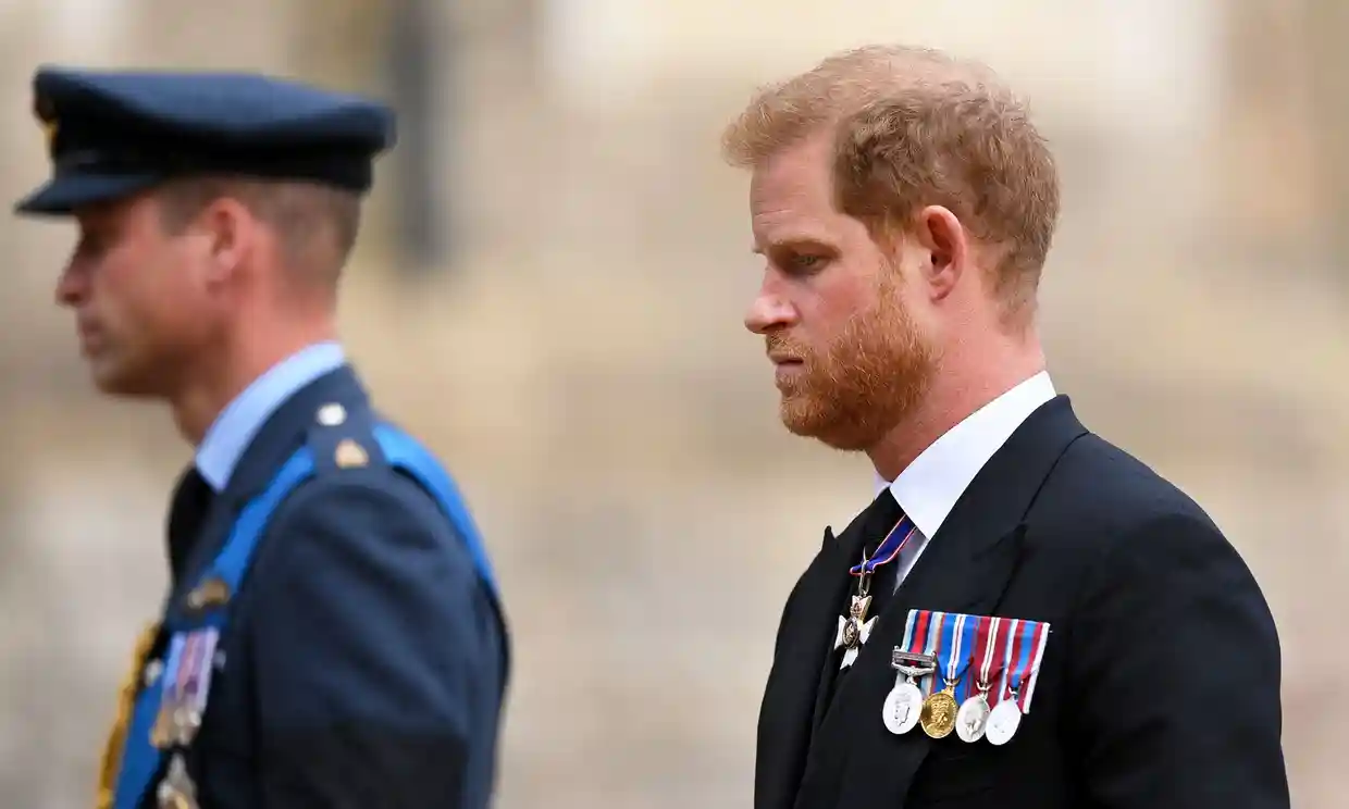 Prince Harry and brother William